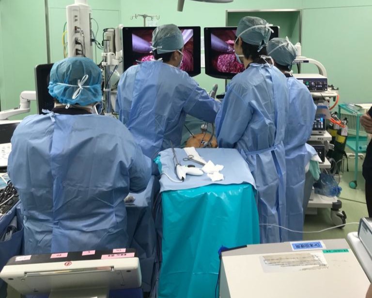 La Región sigue batiendo récords en trasplante de hígado