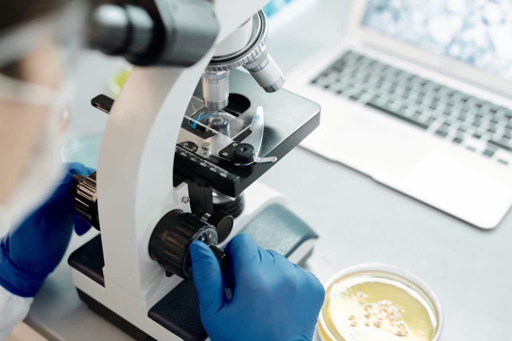 Muere en Francia un hombre con el virus shamonda, hasta ahora no transmisible a humanos